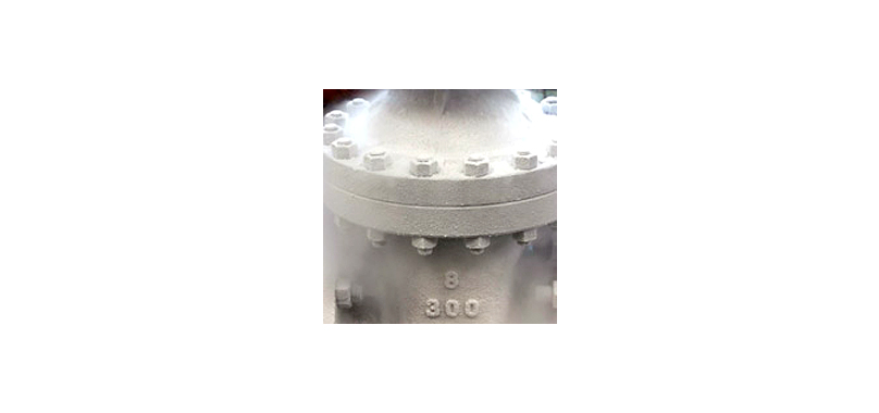 CRYOGENIC SW CHECK VALVE