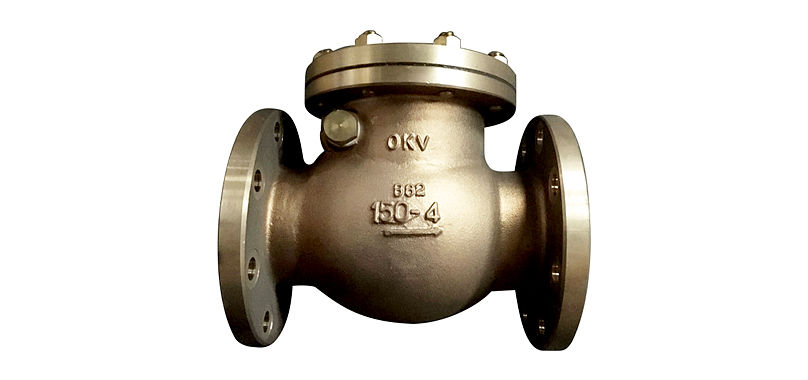 SW-CHECK VALVE